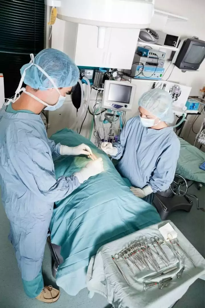 vet tech and a vet in surgery