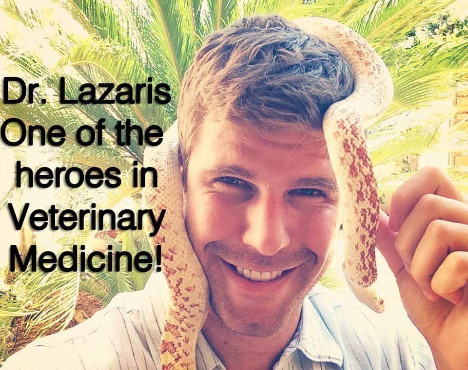 A vet with a snake