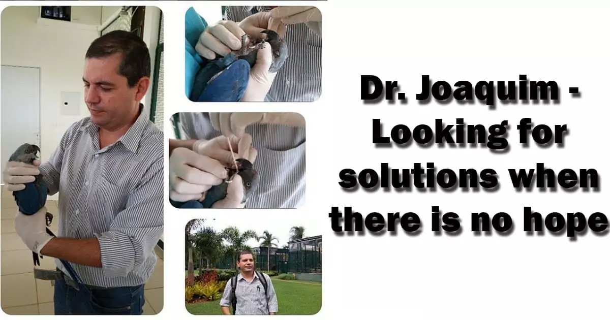 Dr. Joaquim with patient parrot