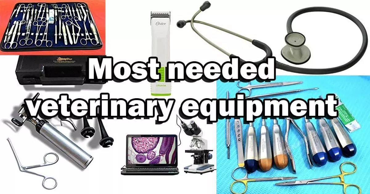 veterinary equipment