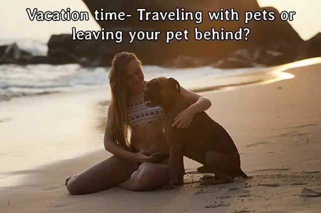 Traveling with or without your pet