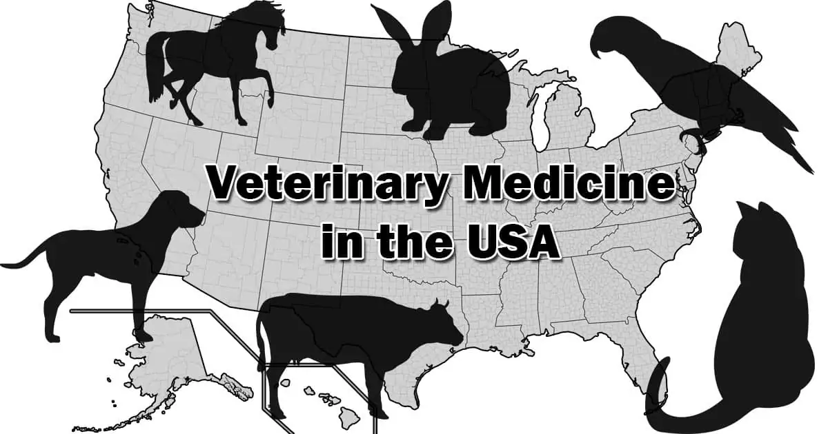 Veterinary Medicine USA Dog Cat Horse Rabbit Parrot Cow