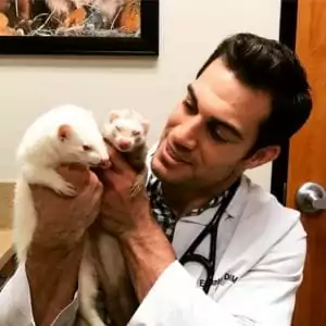 Dr. Evan Antin weasels vet veterinary medicine