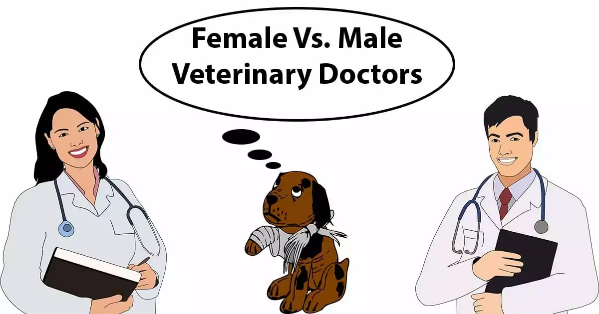 Male Veterinarian Female Veterinarian