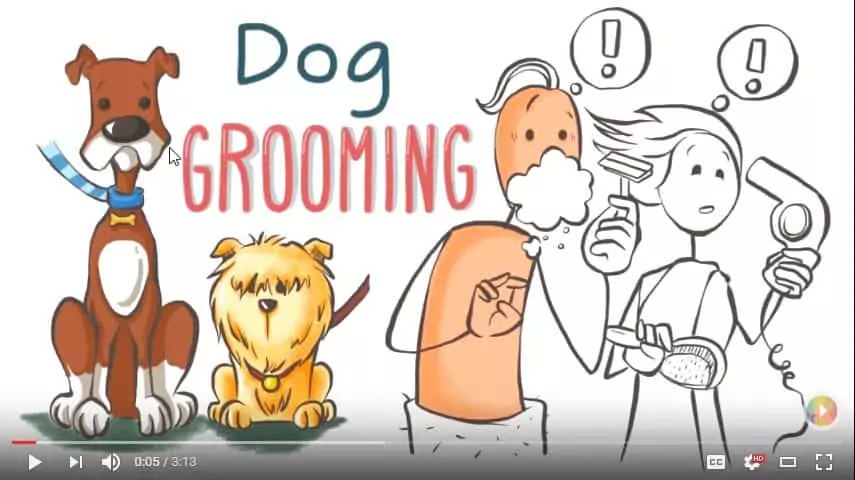 How to groom your dog video minute videos