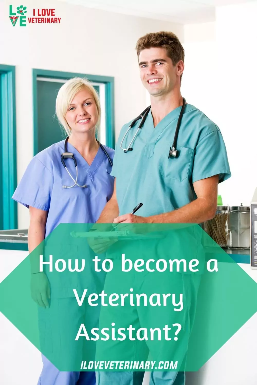 how to become a vet assistant I Love Veterinary