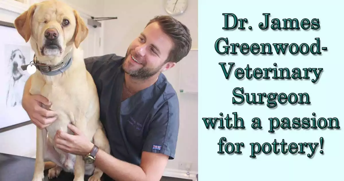 Dr. James Greenwood- Veterinary Surgeon with a passion for pottery!