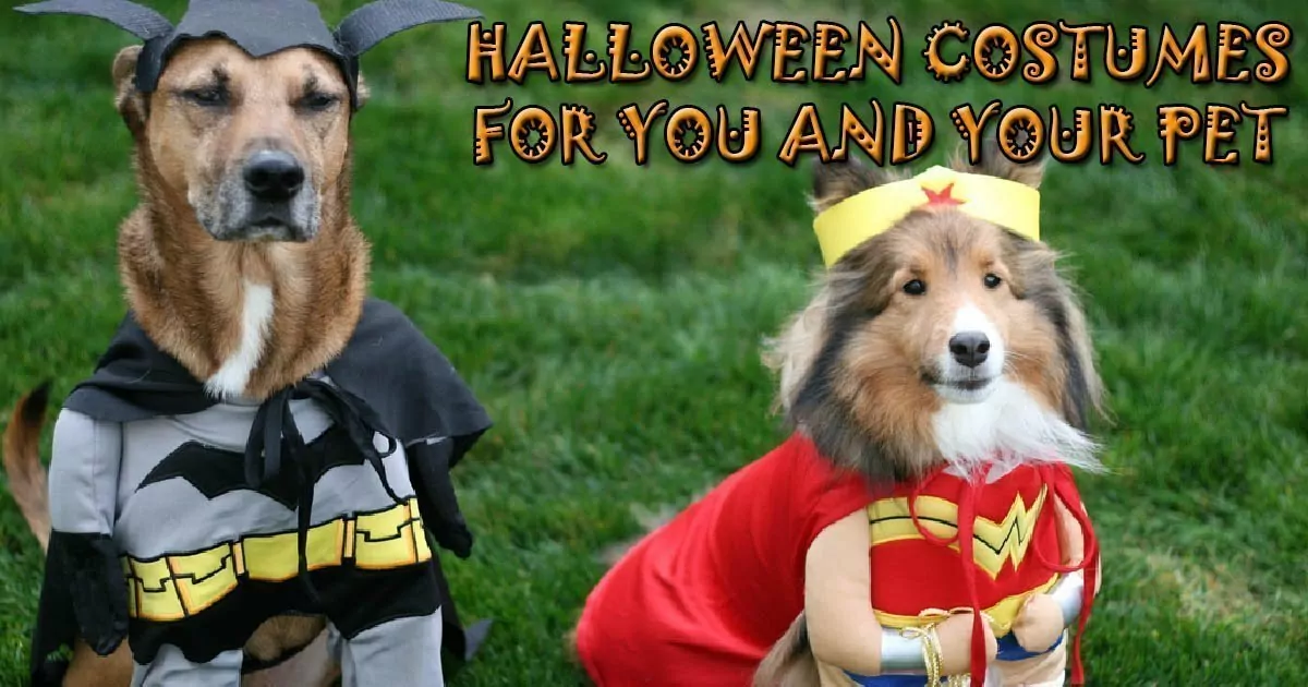 Halloween Costumes for you and your Pet