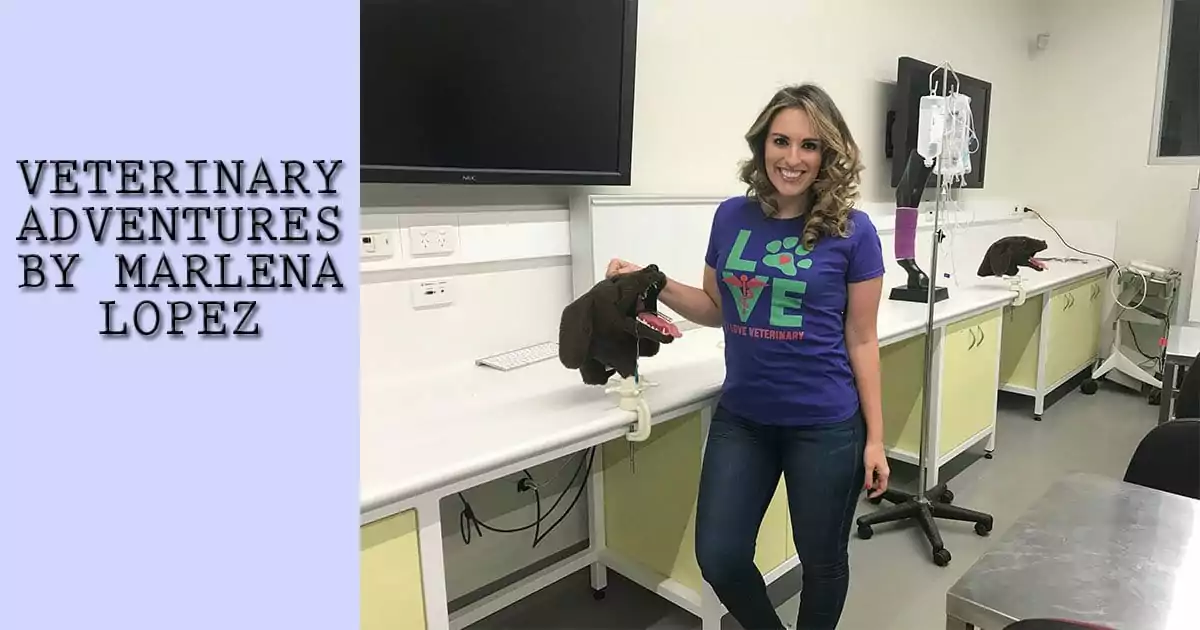 marlena I Love Veterinary - Blog for Veterinarians, Vet Techs, Students