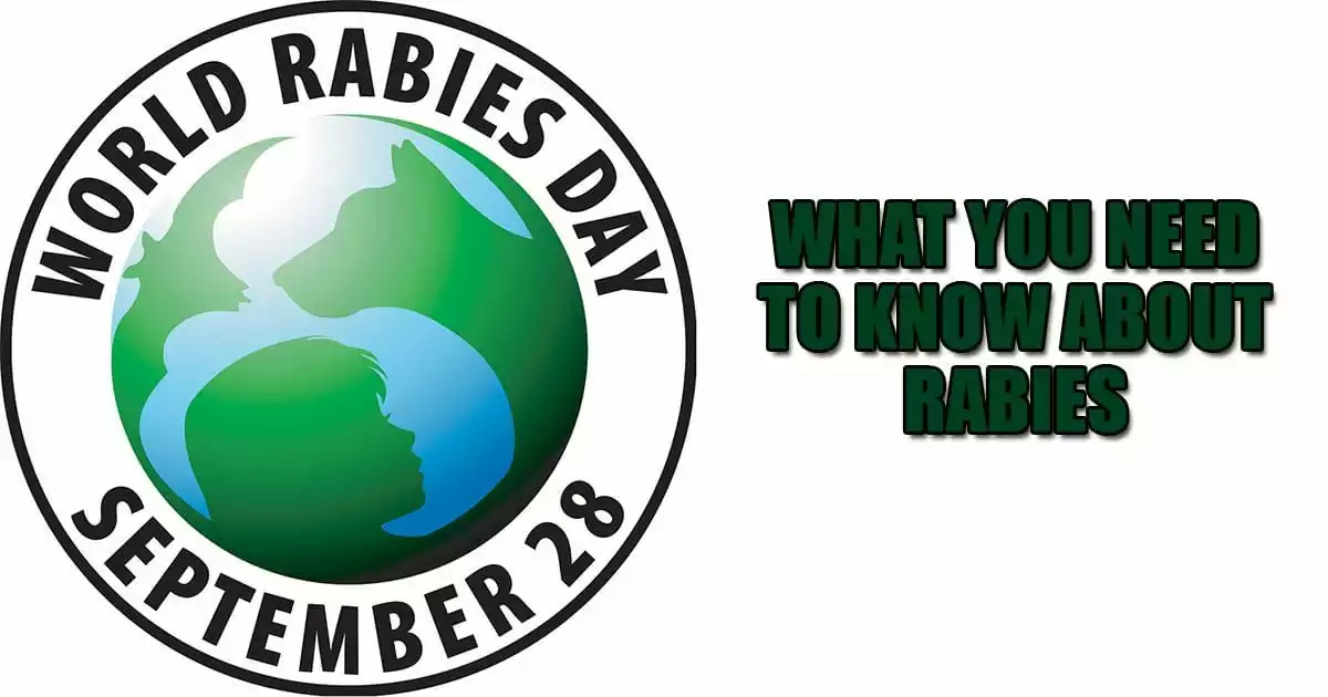 rabies What you need to know about Rabies world rabies day