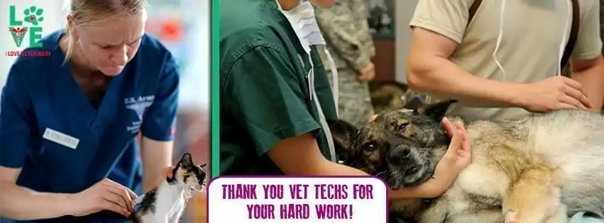 Vet Tech Appreciation Week I Love Veterinary