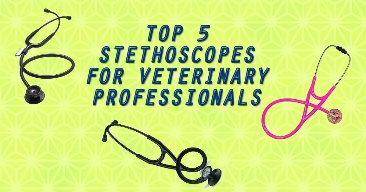Top 5 Stethoscopes for Veterinary Professionals