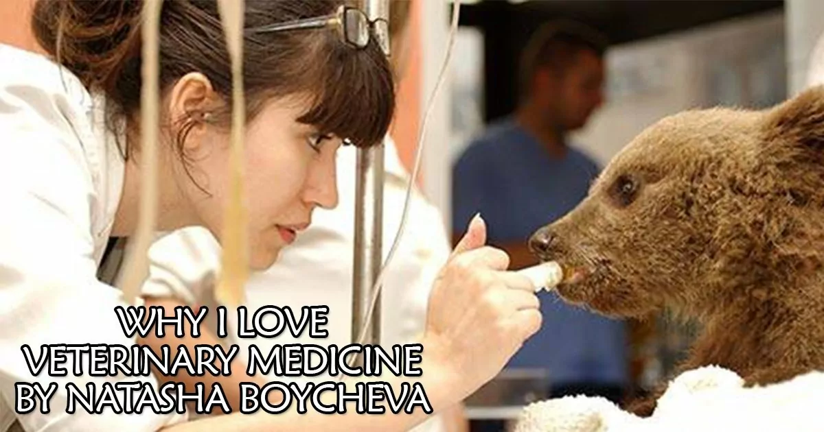 WHY I LOVE VETERINARY MEDICINE BY NATASHA BOYCHEVA I Love Veterinary - Blog for Veterinarians, Vet Techs, Students