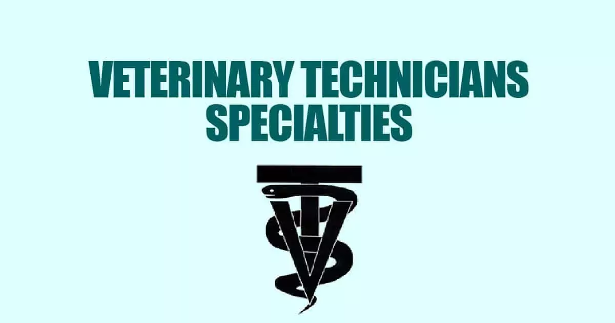 Veterinary Technician Specialties I Love Veterinary