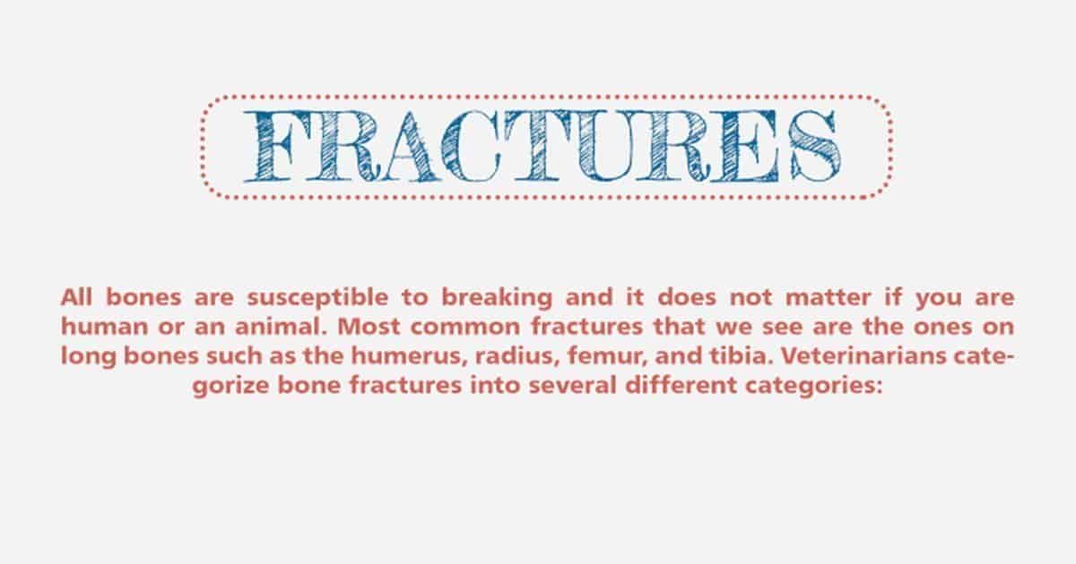 types of bone fractures