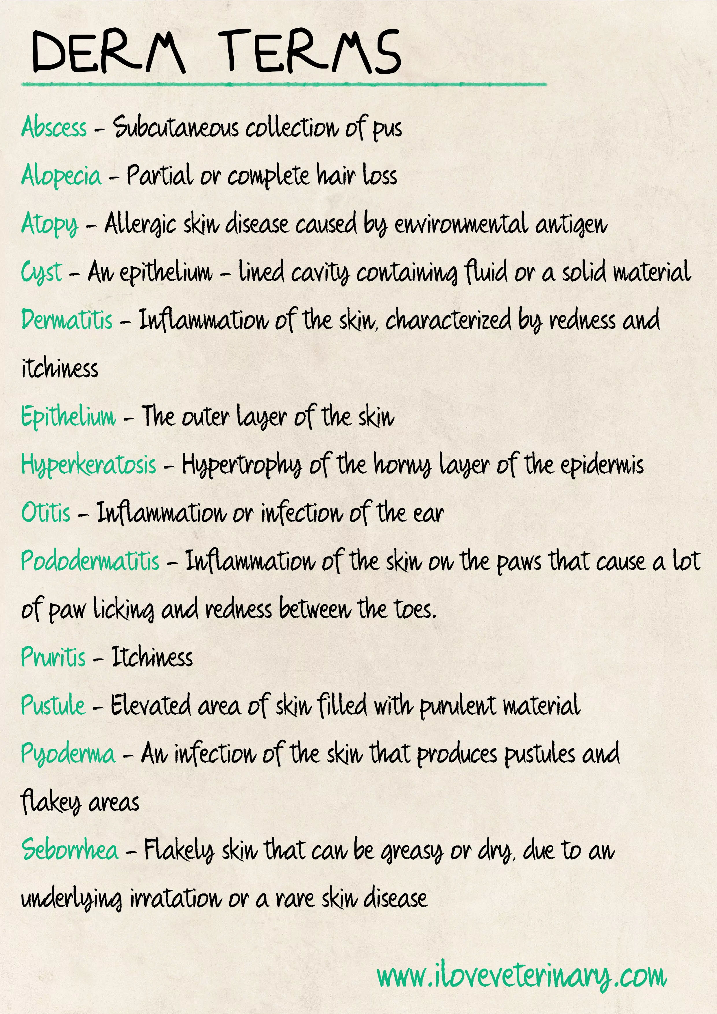 Dermatological terms veterinary