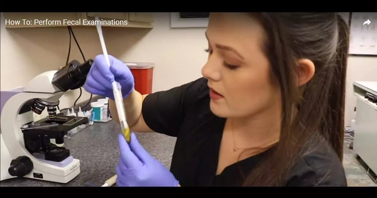 video fecal examination by victoria birch vlogger