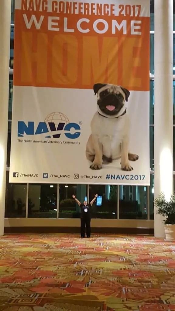NAVC 2017 conference