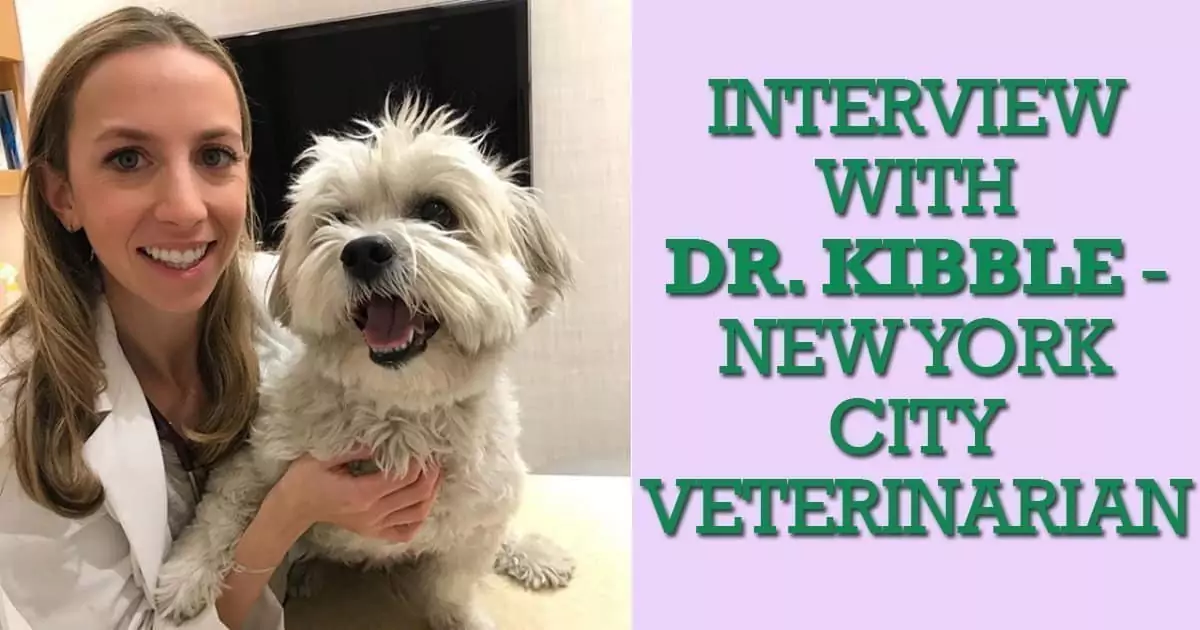 Interview with Dr I Love Veterinary - Blog for Veterinarians, Vet Techs, Students