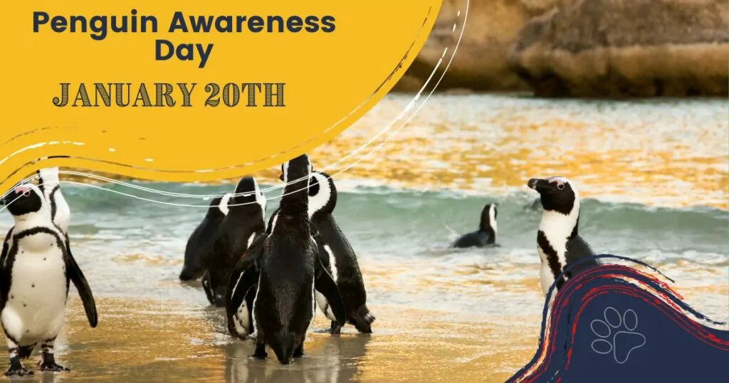 penguin awareness day