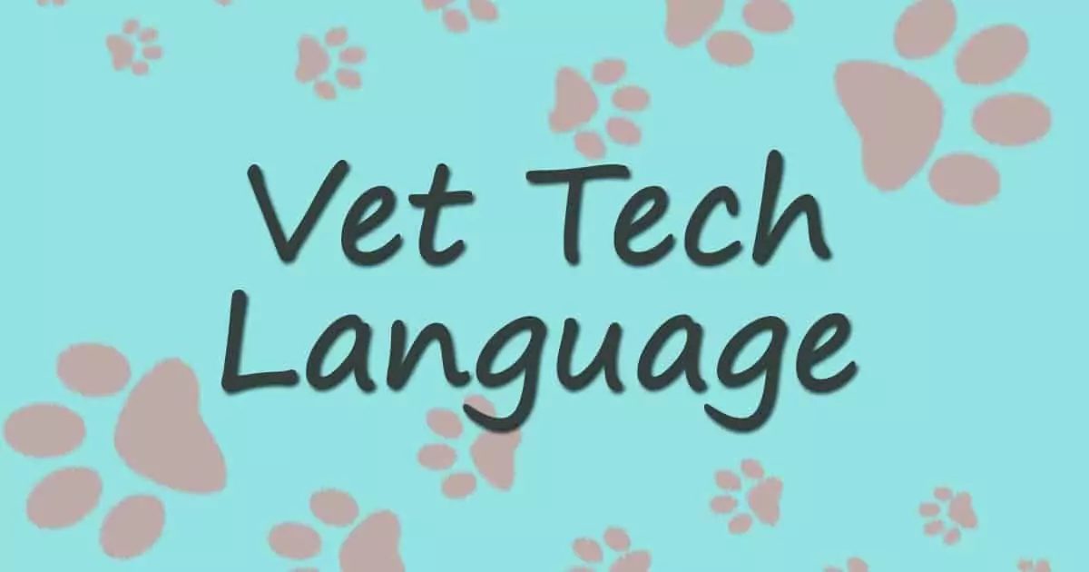 VET TECH LANGUAGE1 I Love Veterinary - Blog for Veterinarians, Vet Techs, Students