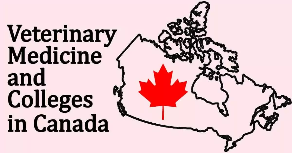 vet schools in Canada