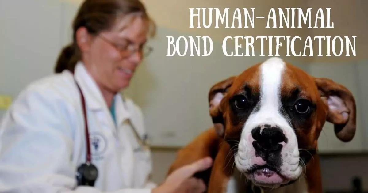 Human Animalbond certification I Love Veterinary - Blog for Veterinarians, Vet Techs, Students