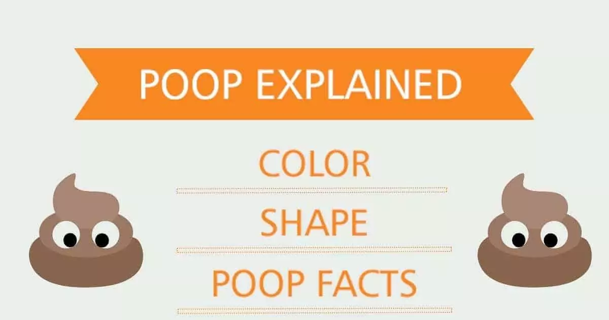 Poop Explained 1 I Love Veterinary - Blog for Veterinarians, Vet Techs, Students