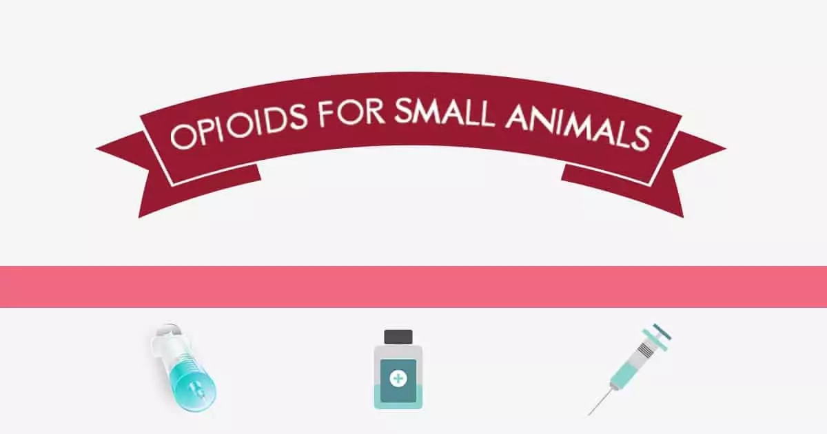opioids for small animals I Love Veterinary - Blog for Veterinarians, Vet Techs, Students