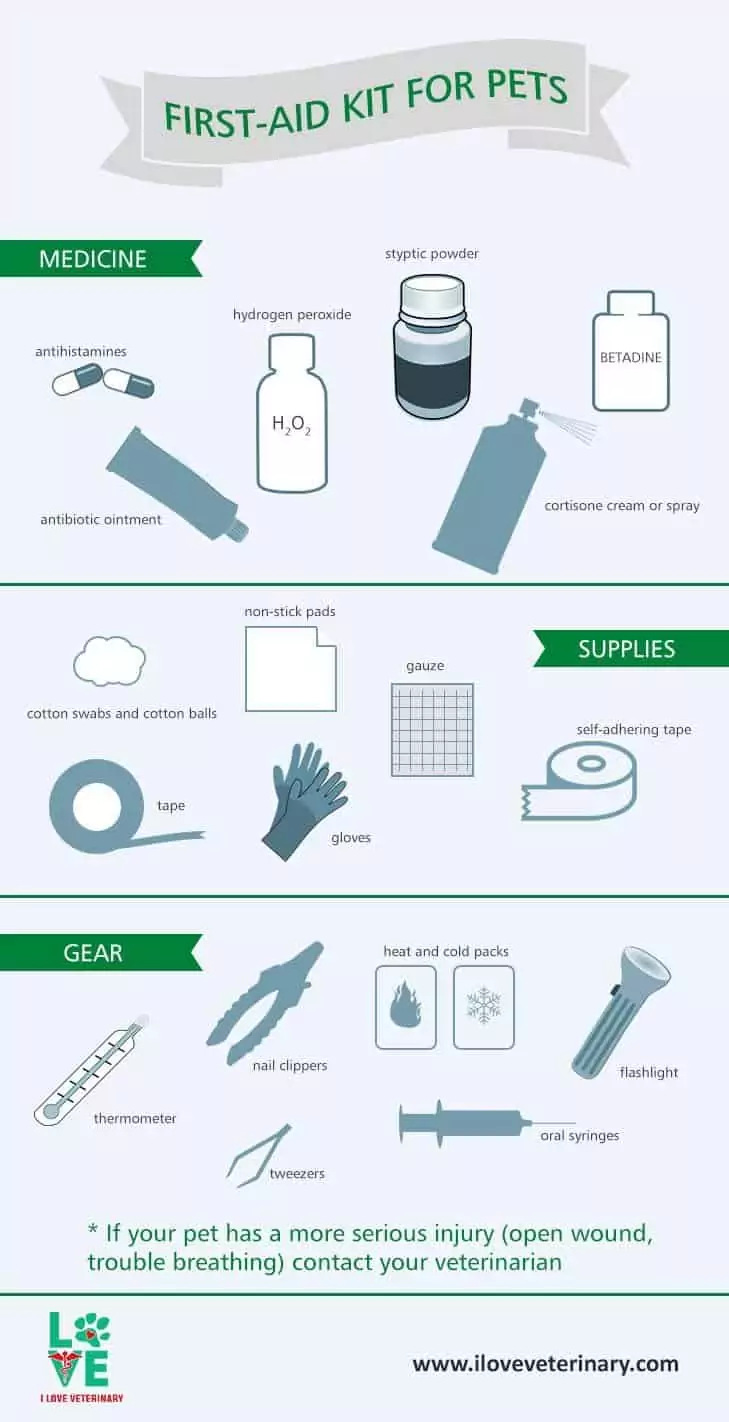 infographic veterinary first aid kit