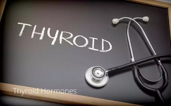 thyroid hormones I Love Veterinary