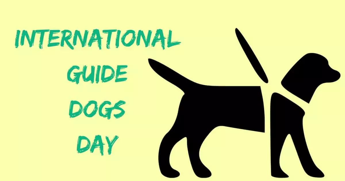 International Guide Dogs Day I Love Veterinary - Blog for Veterinarians, Vet Techs, Students