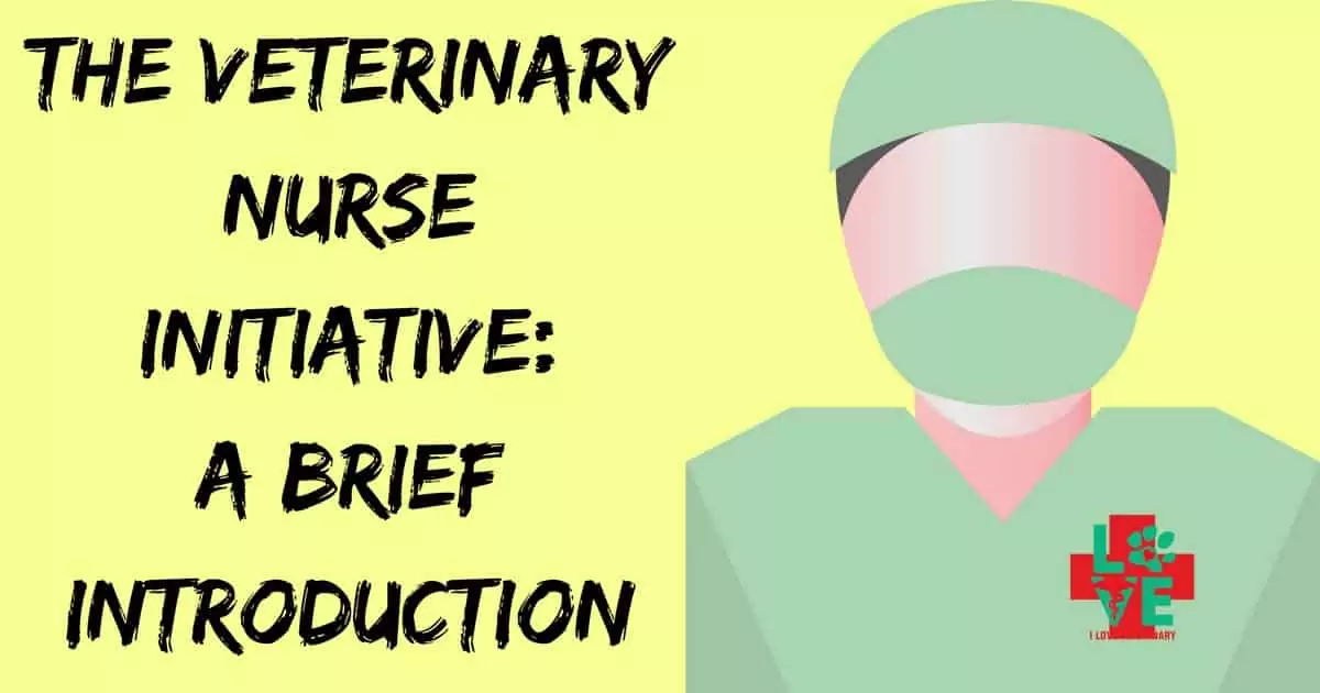 The Veterinary Nurse Initiative A Brief Introduction I Love Veterinary - Blog for Veterinarians, Vet Techs, Students