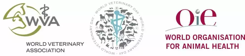 logosEN I Love Veterinary - Blog for Veterinarians, Vet Techs, Students