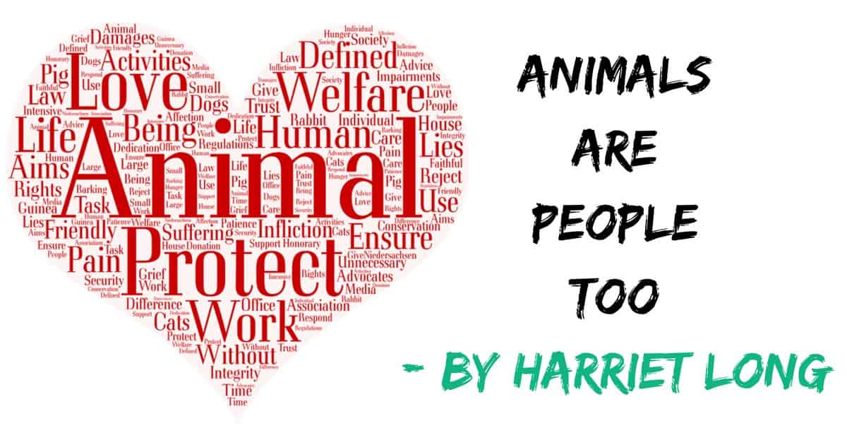 Anche gli animali sono persone di Harriet Long I Love Veterinary - Blog per veterinari, tecnici veterinari, studenti