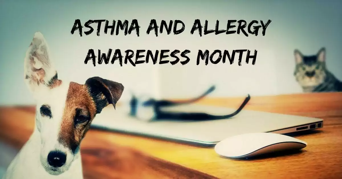 Asthma and Allergy Awareness Month I Love Veterinary - Blog for Veterinarians, Vet Techs, Students