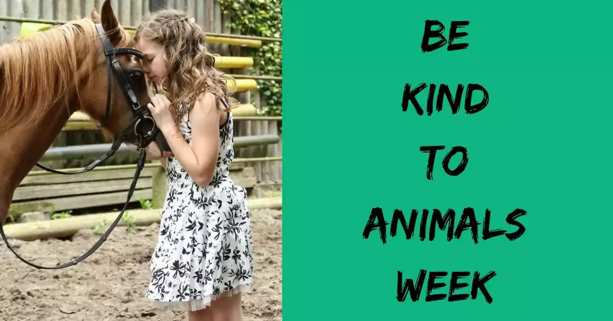 BeKindto AnimalsWeek I Love Veterinary - Blog for Veterinarians, Vet Techs, Students