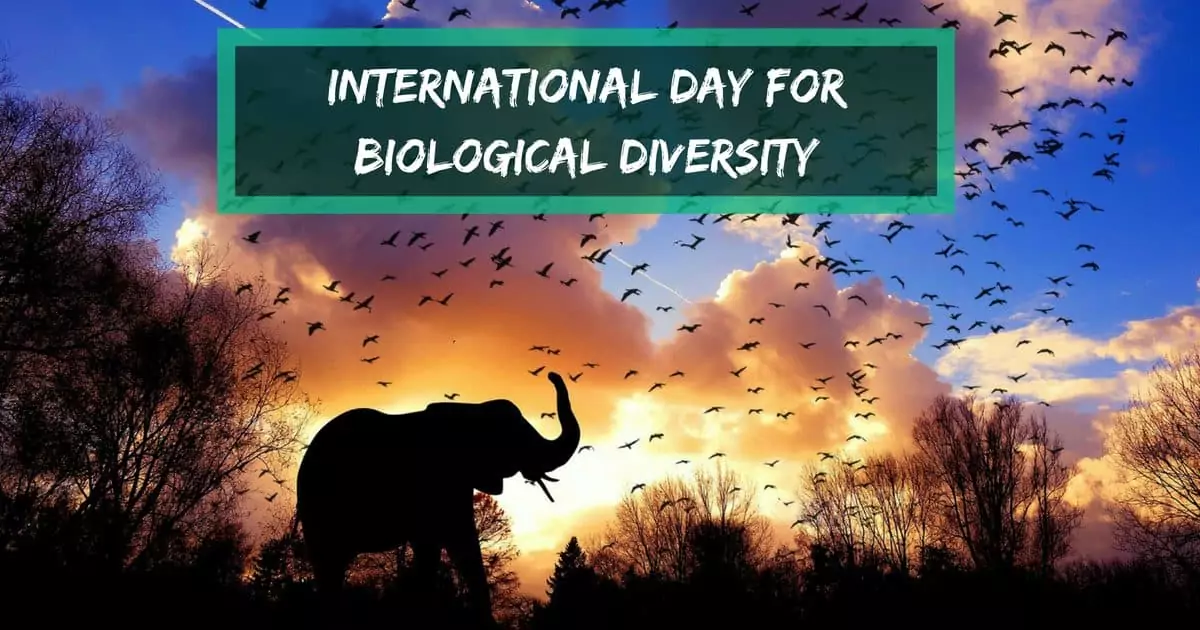International Day for Biological Diversity I Love Veterinary - Blog for Veterinarians, Vet Techs, Students