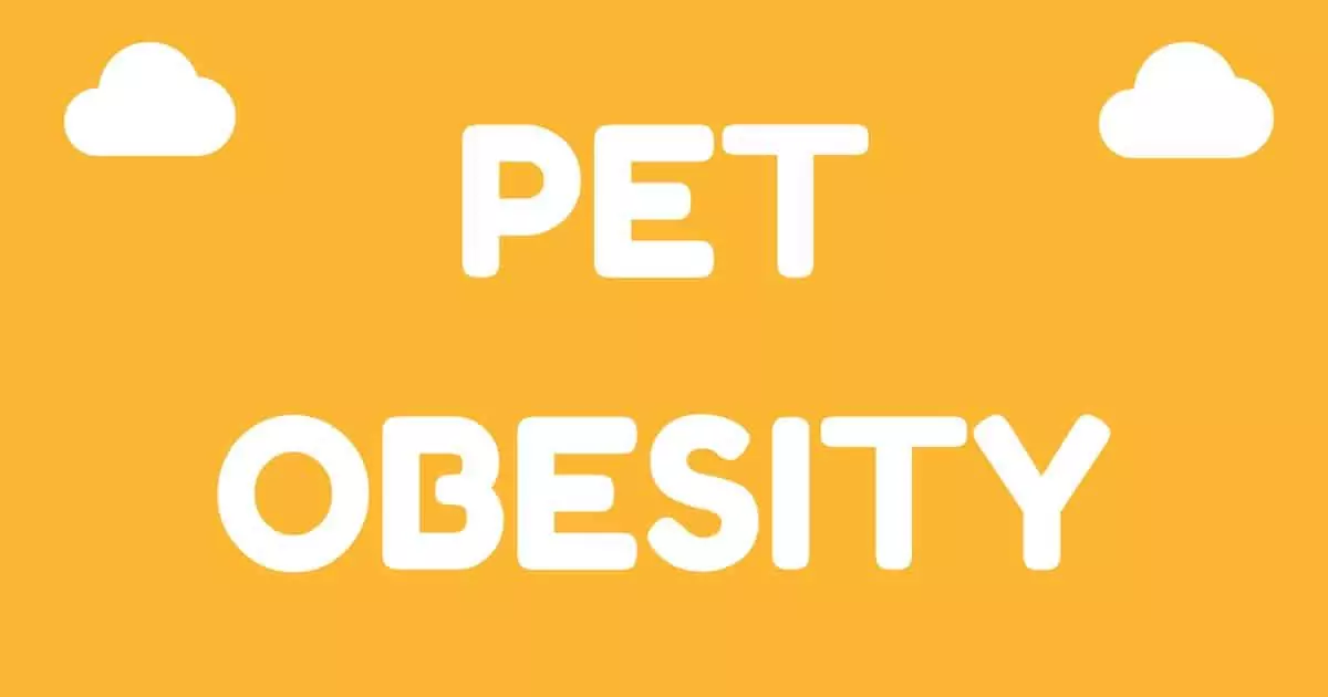 PETOBESITY I Love Veterinary - Blog for Veterinarians, Vet Techs, Students