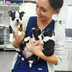 Dr Kate with puppies