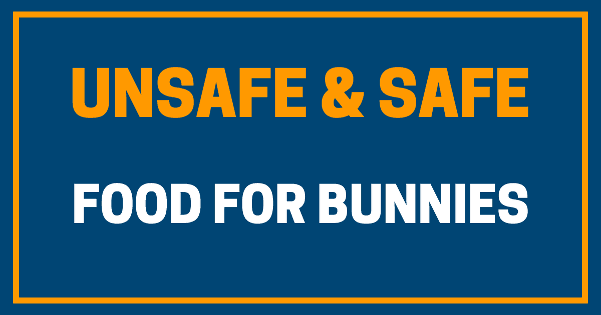 UNSAFE SAFE 1 I Love Veterinary - Blog for Veterinarians, Vet Techs, Students