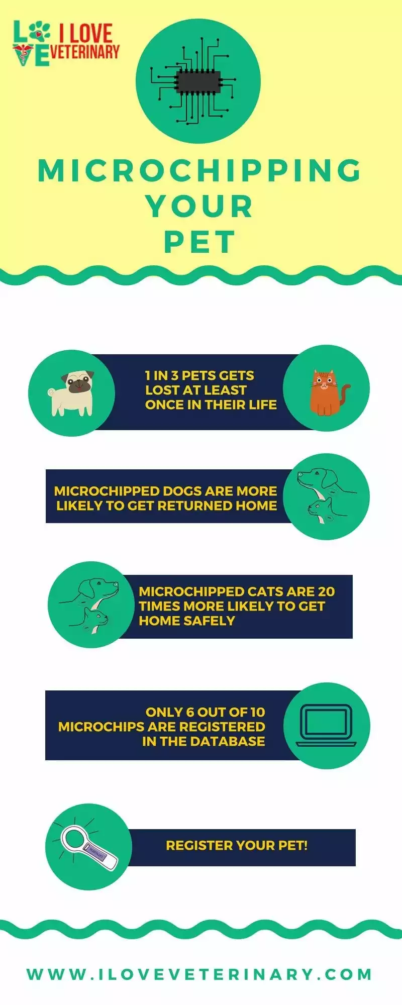 microchipping your pet infographic