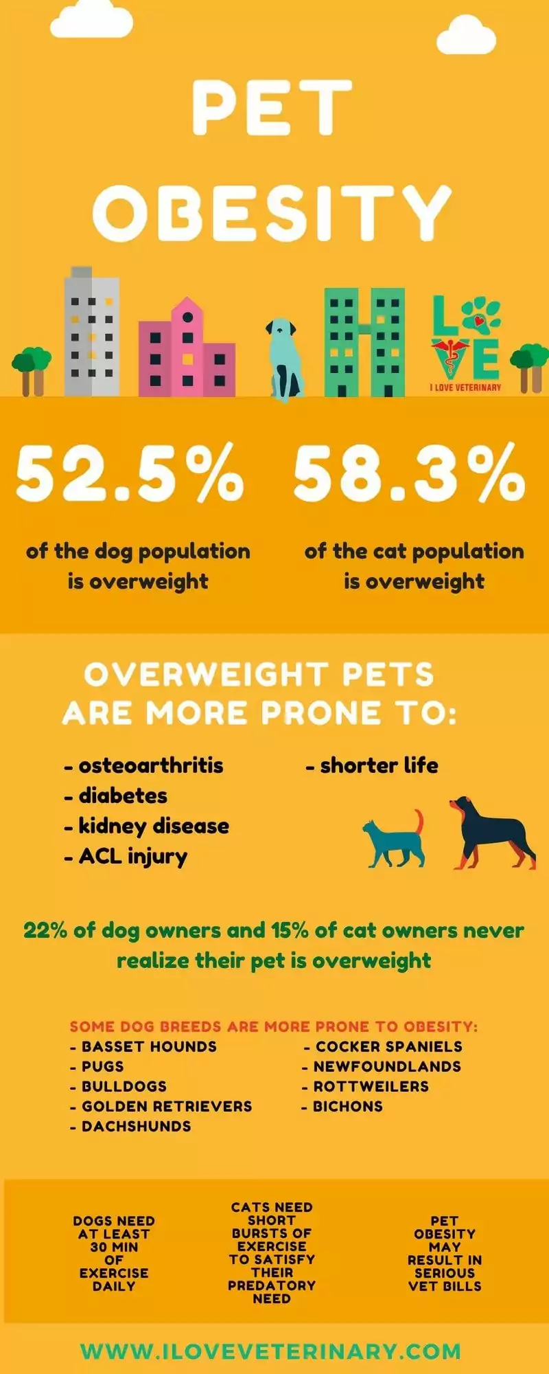 pet obesity2 1 I Love Veterinary - Blog for Veterinarians, Vet Techs, Students