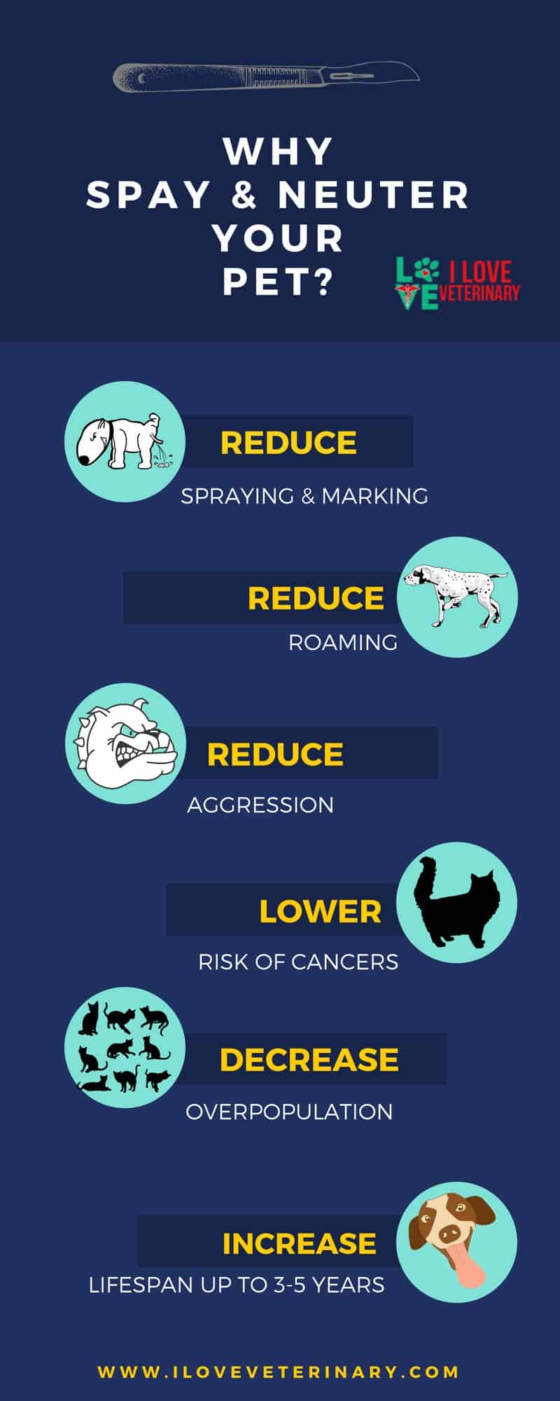 spay and neuter difference infographic