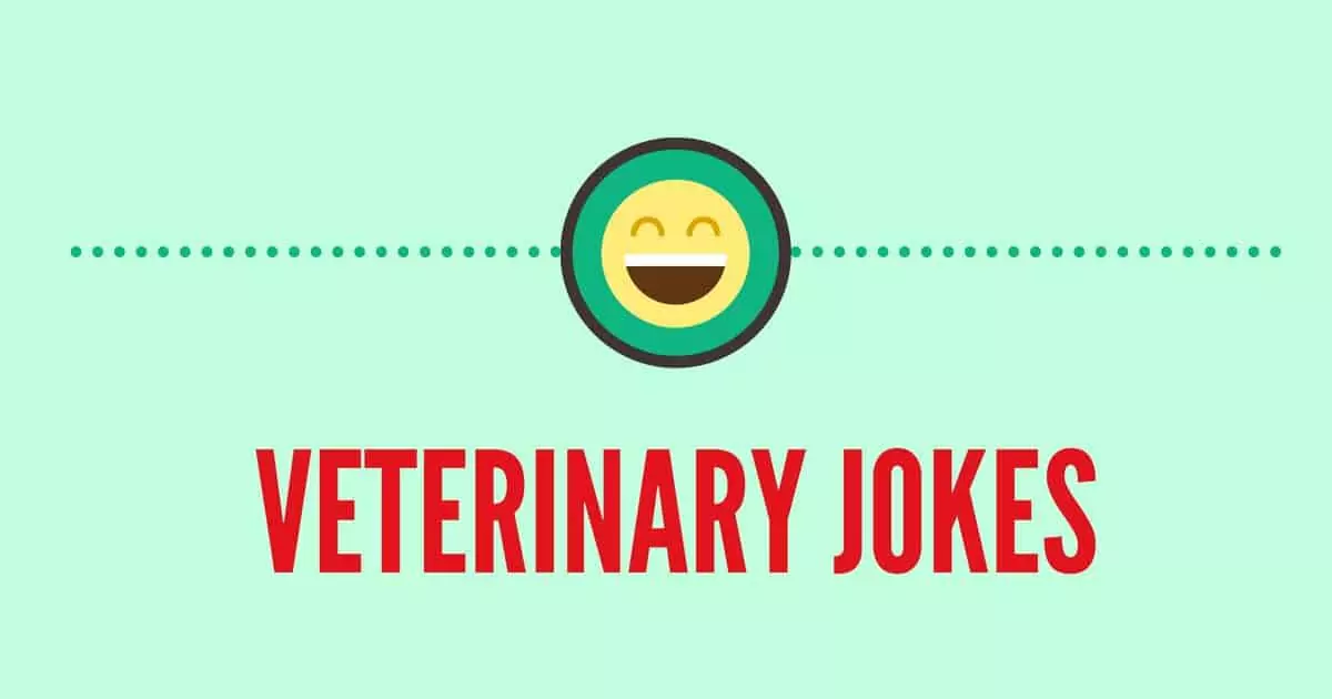 image de couverture des blagues vétérinaires