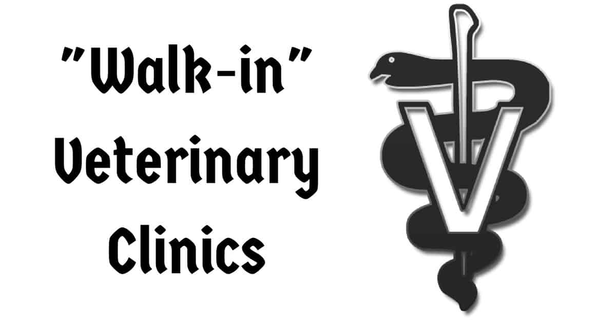 Vet Walk in Clinics - I Love Veterinary