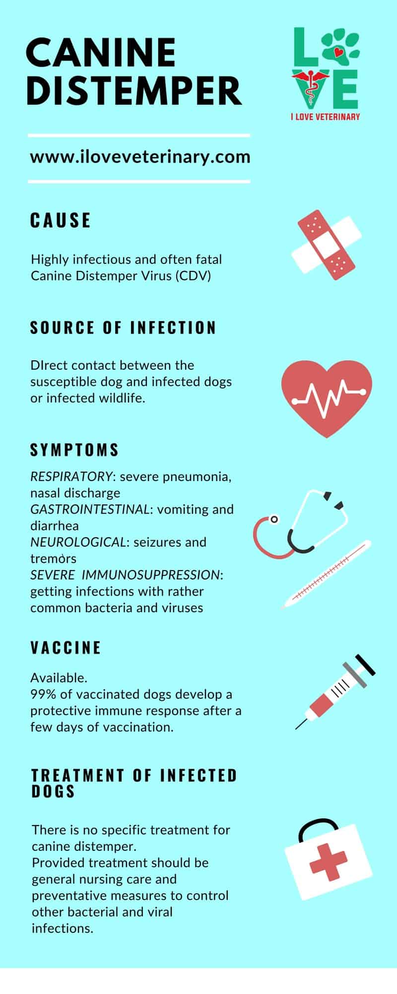 canine distemper virus infographic 