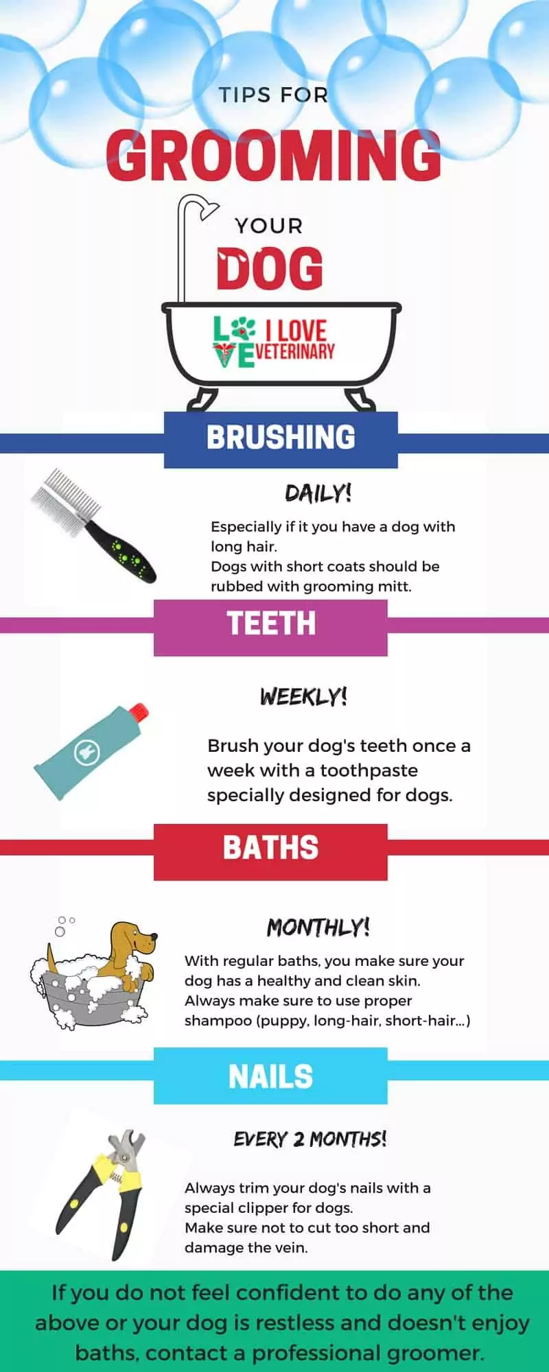 dog grooming tips infographic
