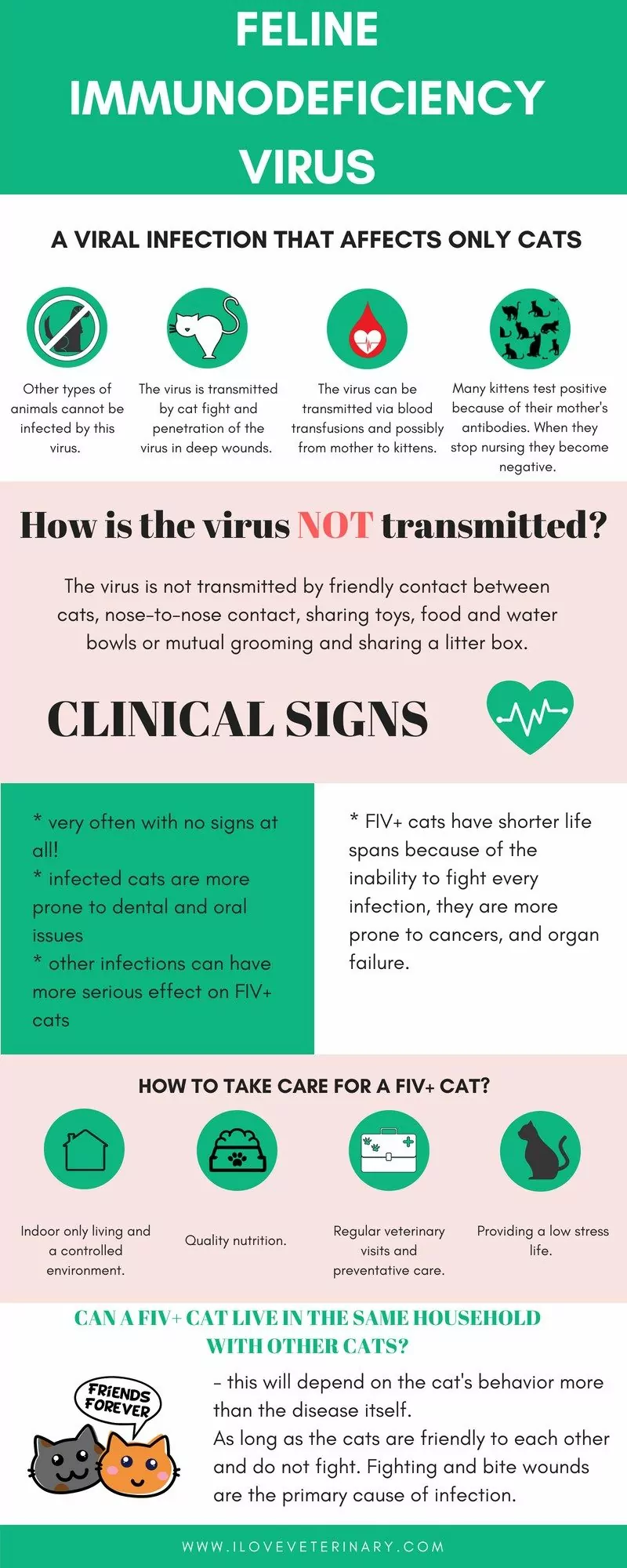 feline, cat, disease, virus, infographic