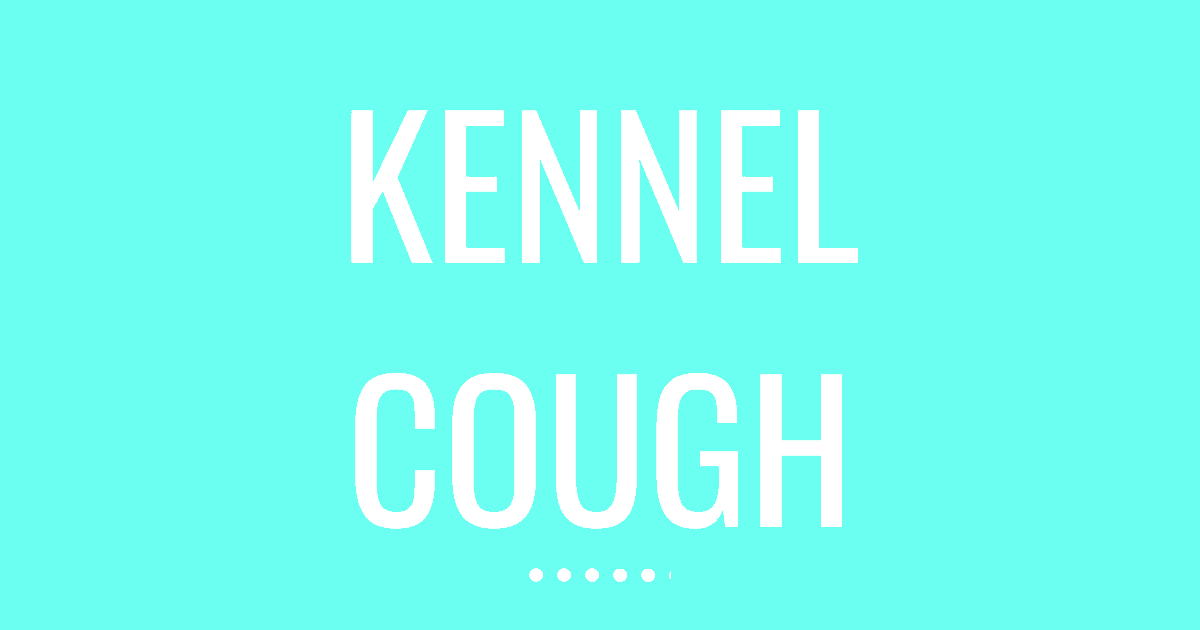 kennel cough cover image